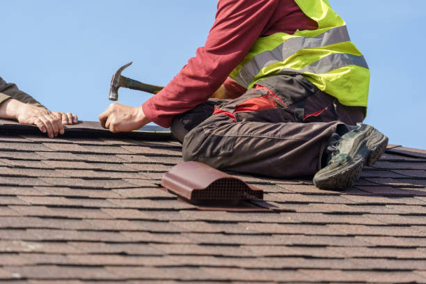 Best Roof Waterproofing Services  in Mount Morris, MI