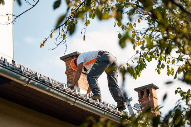 Best Roof Waterproofing Services  in Mount Morris, MI