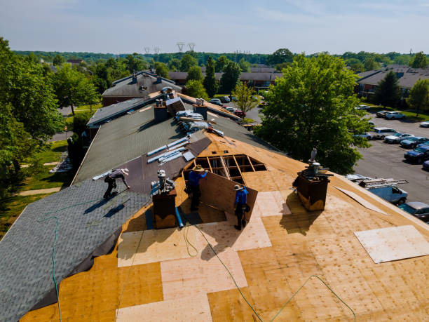 Best Metal Roofing Contractor  in Mount Morris, MI