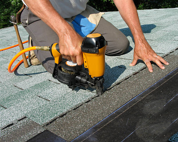 Roof Gutter Cleaning in Mount Morris, MI