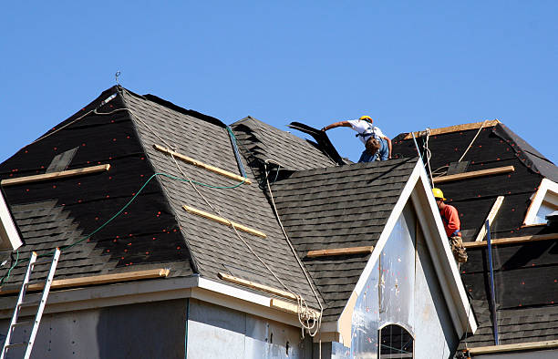 Best Roof Maintenance Services  in Mount Morris, MI