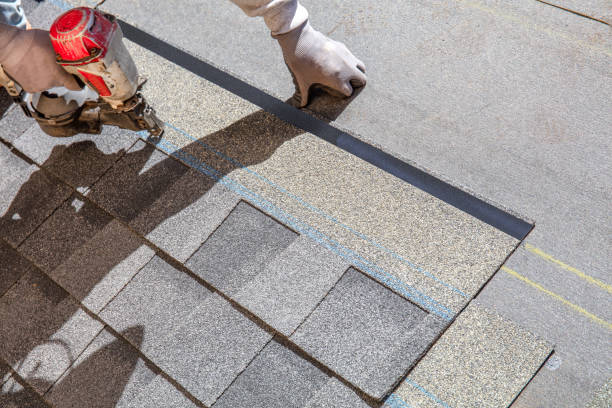 Best Roof Gutter Cleaning  in Mount Morris, MI