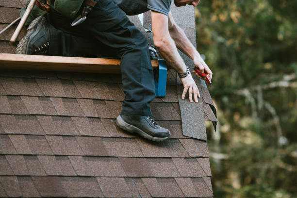 Best New Roof Installation  in Mount Morris, MI