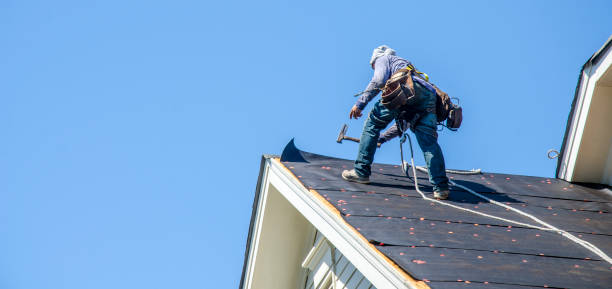 Best Flat Roof Repair Services  in Mount Morris, MI